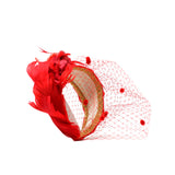 Diadema del Plumas Carmen