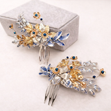 Peignes à cheveux Asteria