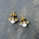 Pendientes Noe